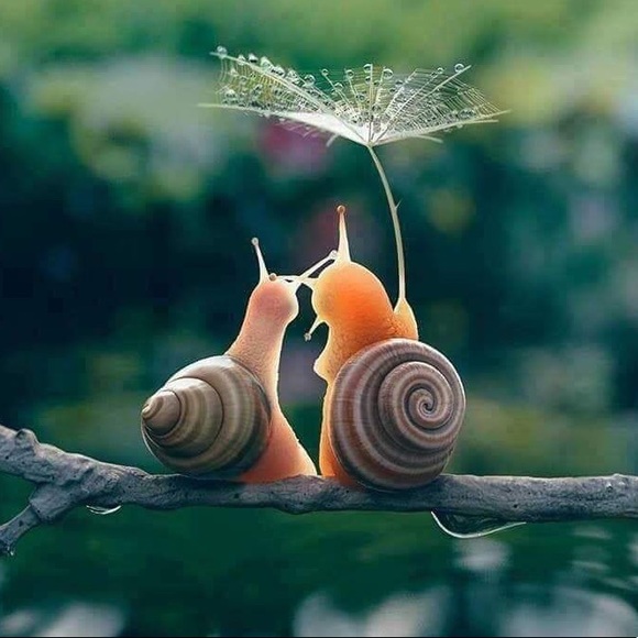 Meet your Posher, Kate - Picture 12 of 13